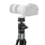 SmallRig 6285 x Potato Jet TRIBEX PRO (Photography) - hydrauliczny monopod Carbon, z głowicą kulową, fotograficzny - przykład użycia